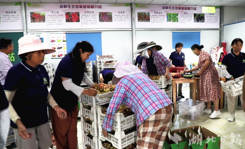 金沙账号js登陆